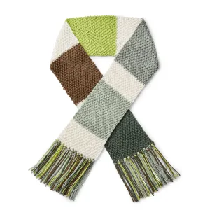 Caron X Pantone Knit Color Swatch Scarf